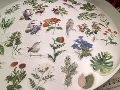60pcs/Pack flower birds animal floral plant botanical Themed , washi paper stick