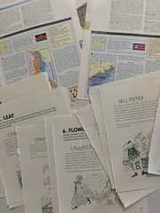 Vintage Ephemera Lot 100+ Junk Journal Paper Scrapbooking Crafting Book Pages
