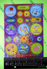 Butterflies & Insects Sticker Sheet Prismatic