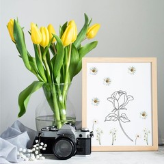 6 Pcs Clear Daisy Stickers, Waterproof Floral Vinyl Art Decals for Crafts