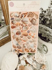 Vintage 1995 Punch Studio Seashells Stickers NOS 2 Sheets Naturally Gifted Shell