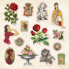 The Sticker Book of Curiosities (Over 750 Stickers) (Sticker Books)