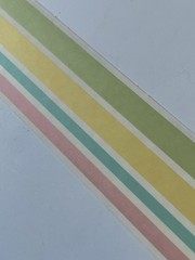 10 Mrs Grossmans Vellum Ribbon DL Border Stickers Lines Edge Pastels Spring