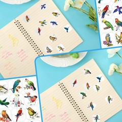 Hotop 600 Pcs Bird Stickers Vinyl Waterproof Animal Cartoon Multicolored