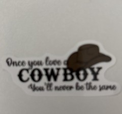 10 STICKERS WESTERN COWBOYS Journal Planner Notebook SCRAPBOOK WSIPDN