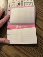 The Happy Planner Boss Babe Multipack 399 Pieces PLMP-04