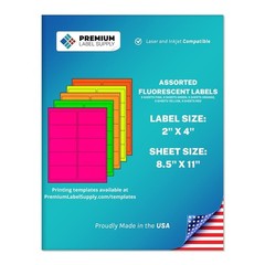 Bright Neon Fluorescent Stickers – 2″ x 4″ Assorted Labels – 250 Pack for Crafti