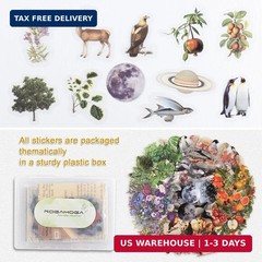 Nature Themed Transparent Pre-Cut Stickers for Scrapbooking, Pack of 240, Flora