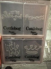 Cricut Cuttlebug Embossing Lot Close To My Heart Princess Circles Winter Jelly