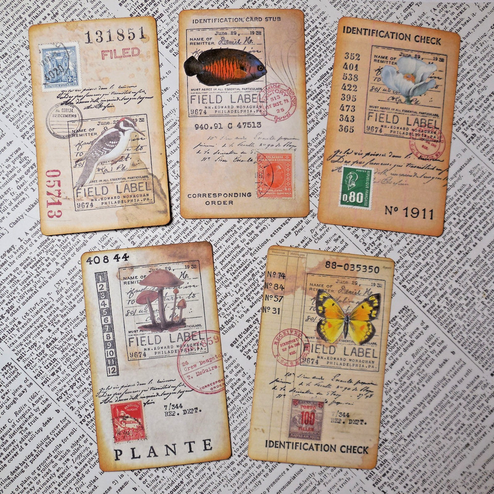 Handmade Embellishments Field Specimen Cards Junk Journal Scrapbook Altered Art