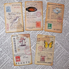 Handmade Embellishments Field Specimen Cards Junk Journal Scrapbook Altered Art