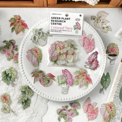 Kawaii Plant Stickers Plant Research Centre 30 Pieces per packet (Colored Taro)