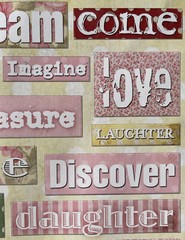 BABY GIRL PHRASES Cardstock Stickers (26pc)Smile•Newborn•Angel•Family •Miracle•