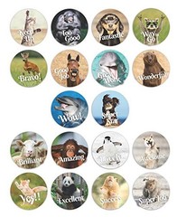 1800 Fun Animal Reward Stickers – 1″ Round, 18 Designs, Motivational for All Age
