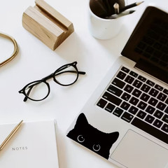 cat stickers for car, laptop, Water Bottles, 3+3/4 x 2+1/4 inch FREE SHIPPING