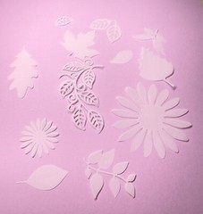 Botanical vellum die cuts, translucent leaves and flowers for cards,scrapbooking