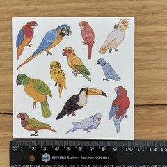 10 Sticker Sheets Unique Colourful Australian Birds Wildlife multicoloured