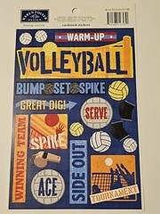 Karen Foster Design Stickers (6” x 9” Sheets) Bump-Set Spike #10795