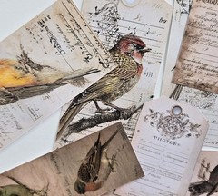 Vintage Bird Ephemera Tags Junk Journals