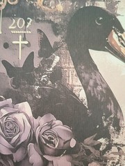 30 Pg Sticker Book Gothic Night Castle & 20 Sheets Ephemera Papers 50 Pgs Total