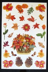 Mrs Grossman Vintage Jumbo (6×9 inch) ‘Autumn’ Sticker Sheet (c-2001)