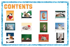 Paint by Sticker (Official): Cats: Create 12 Stunning Images One Sticker at a Ti