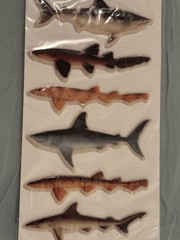 Collector Edition Stickers Sharks 1987 California Pacific Designs Vintage SEALED