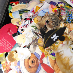 Ephemera Cutouts Greeting Card Fronts Lot Scrapbook Junk Journal Multi Color