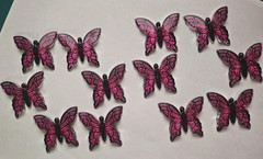 CraftBuddyUS 12 pcs 1.25in x 1.5in Hot Pink & Black Acrylic Butterflies