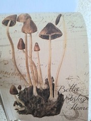 50 Pgs Vintage Series Washi Stickerbook 450+Stick 20 Pgs EPH Papers
