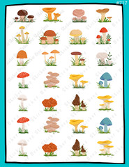 Mushrooms Collage Sheet Supplies For Scrapbooks Junk Journals Card Making Crafts