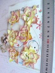 Wild PEACH ORCHID & ROSE Mix – 3 x 2 Each Flowers PAPER 50-55mm Manor H ConA