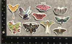 Lot of 10 Assorted Nature Moth Butterfly Butterflies Stickers