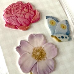 Brenda Walton Florals Scrapbook Stickers Lot – K&Co – Retired – 9 pc Kit