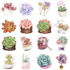 50pcs Succulent Stickers, Plants leaf flower Cactus Houseplant Stickers, 227