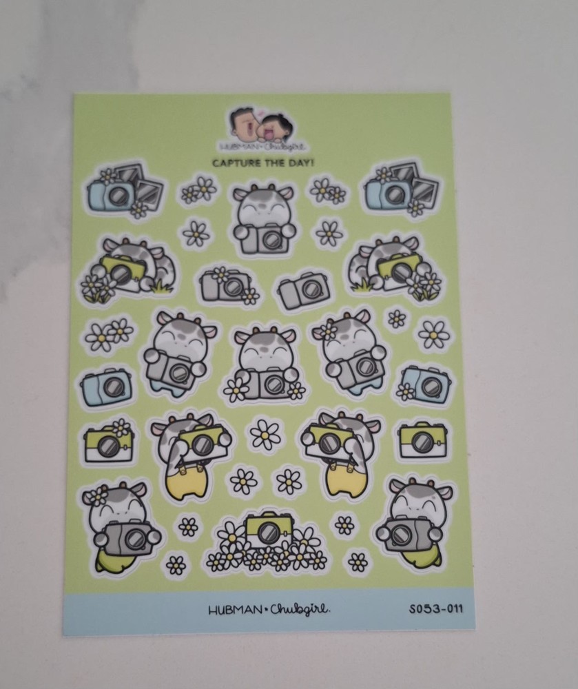 Hubman and Chubgirl Large Sticker Sheet – Capture The Day