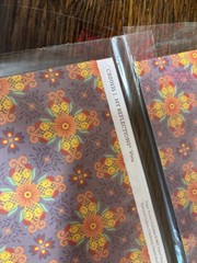 2 PACKS Close To My Heart Scrapbooking paper sheets My Reflections Viva CB20131