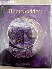 Romantic Universe Moon Stars Witchy Scrapbook Journal Paper Book Pet Stickers