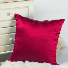 Tim & Tina 100% Pure Mulberry Luxury Silk Satin Pillowcase,Square Decorative …