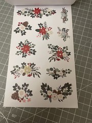 Amber Plans Her Day Doodled Florals Sticker Book 857 Planner Stickers 30 Pgs