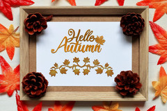 2Pcs Fall Die Cuts for Card Making and Scrapbooking, Hello Autumn Words Cutting