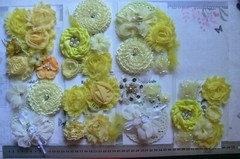 Flower Packs – Mixed YELLOW Colour hews 35 to 75mm in Sizes – 9 Pack Choice VD4