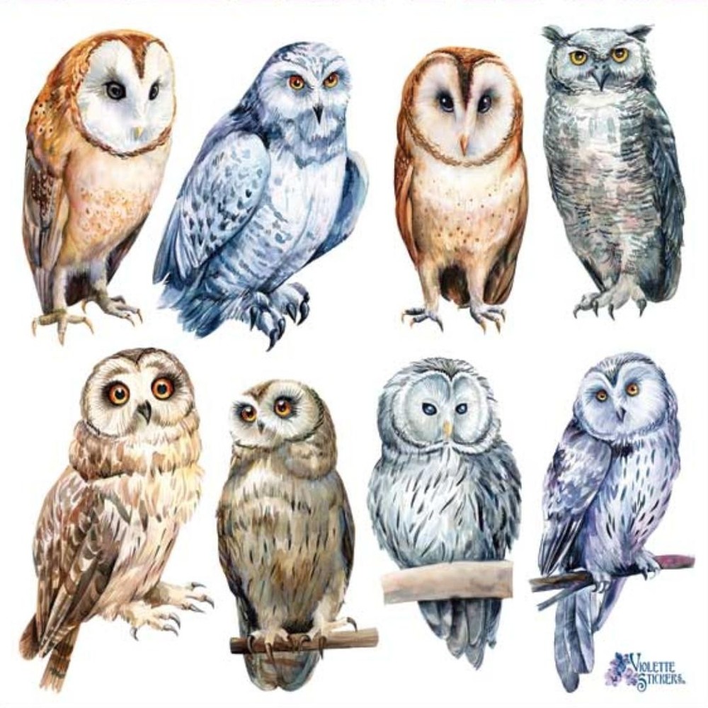 Violette Stickers – Real Owls – 1 Owl Sticker Sheet – Scrapbooks Stationery