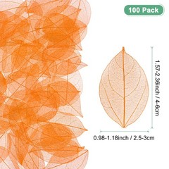 100-Pack Skeleton Leaves, Natural Rubber Tree Leaves Vein[4-6cm, Orange]