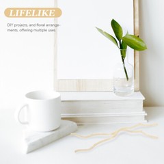 20 Pcs Decortive Wood Branches Decorative Sticks Skewers Dry