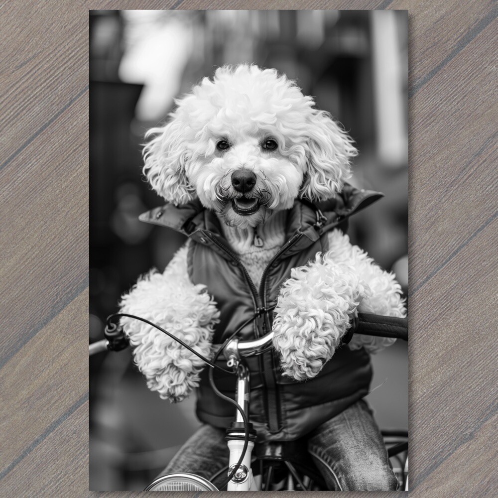 STICKER White Poodle Riding Bike Bicycle Funny Cute Strange Dog Weird Puppy Fu