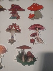Mushrooms Theme Stickers for Scrapbooking, Multicolor Decorative Sticker Set