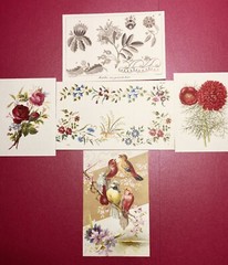 Anna Griffin Pocket Embellishment DieCuts 30 Pcs Total – Flowers & Layers! WOW!