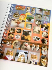 Cat Sticker Book, 30 Pages Over 800 Cute Die Cut Stickers with 3 Style 1