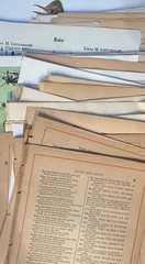 100 Vintage Book Pages Lot Unique Variety Aged bundle Birds Nature Literature